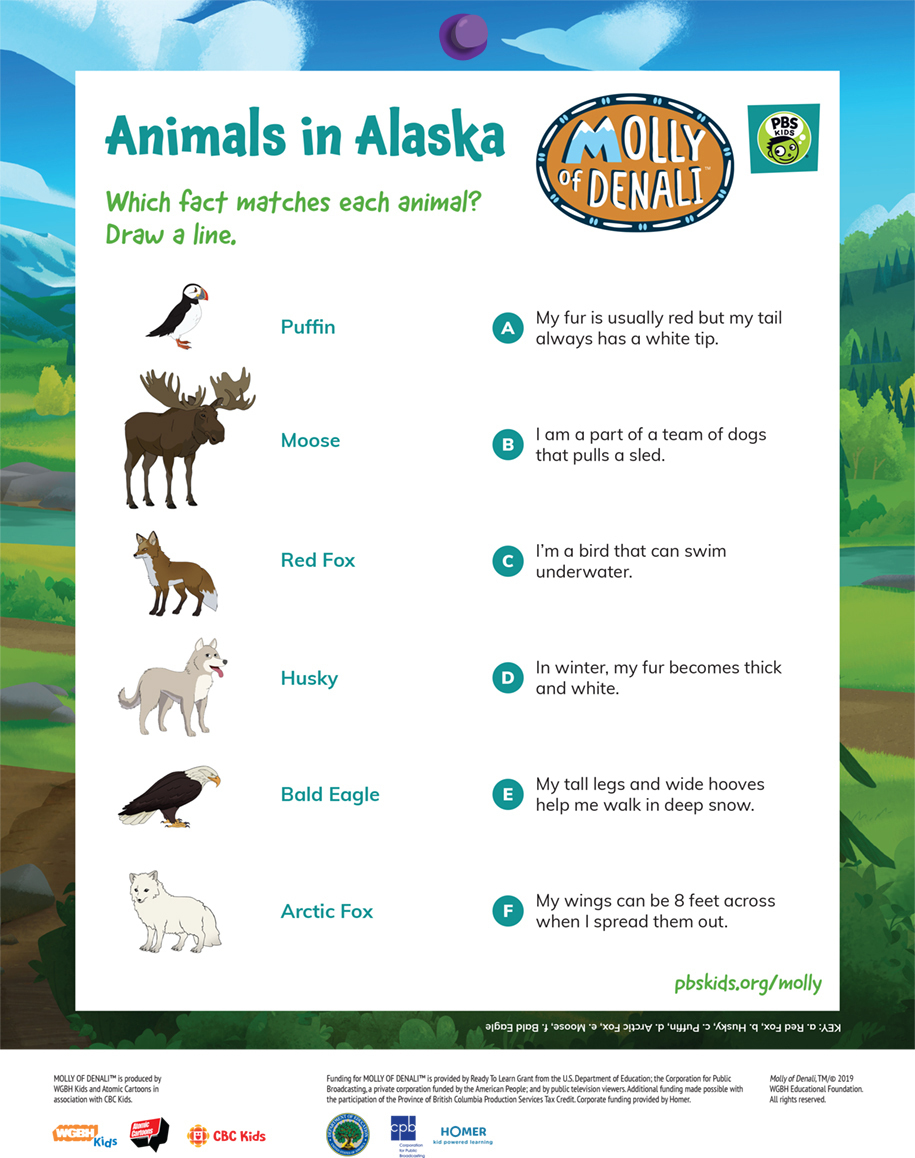 Molly of Denali Animals in Alaska