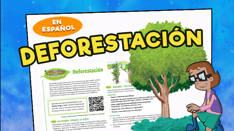 Deforestación