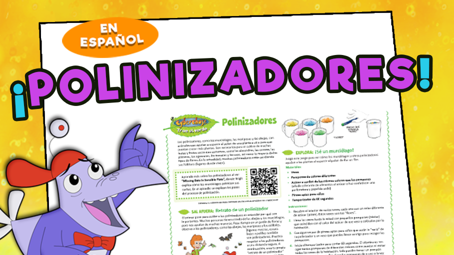Polinizadores