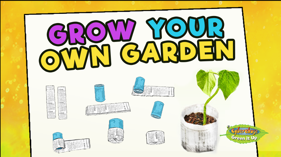 Grow Your Own Garden