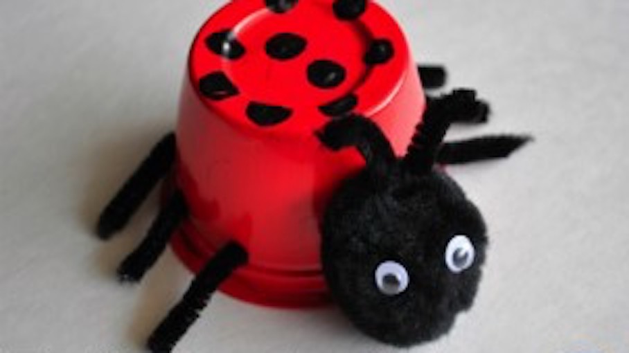 Fruit Cup Ladybug | Crafts for Kids | PBS KIDS for Parents