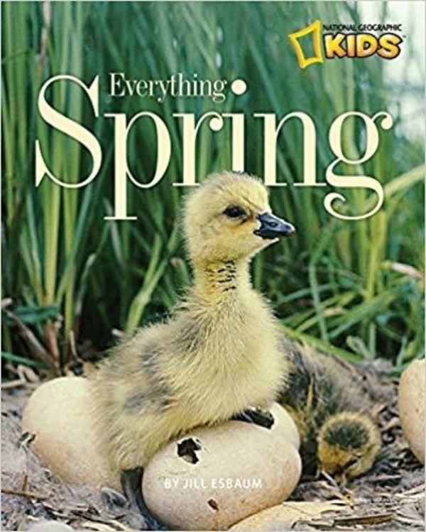 MaiTai's Picture Book: Spring!