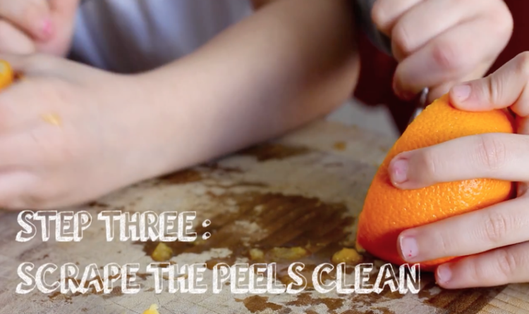 柑橘花环第3步图片