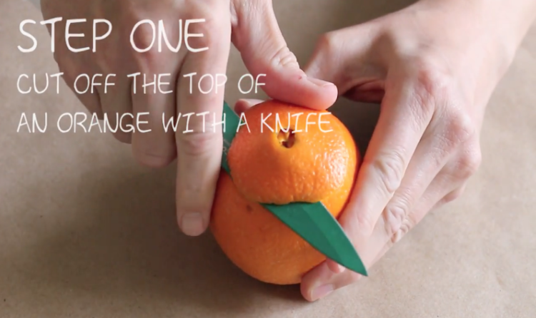 第1步柑橘玫瑰的图片