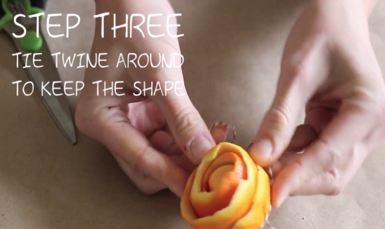 第4步柑橘玫瑰的图片