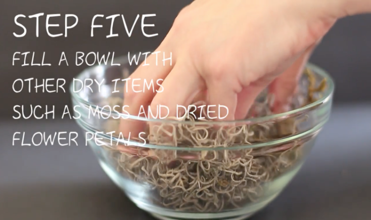 第7步柑橘玫瑰图片