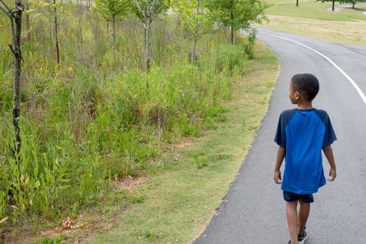 孩子去大自然散步