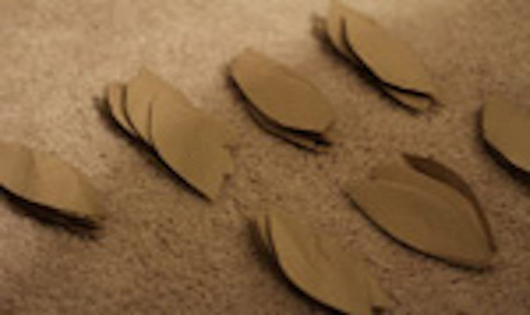 纸袋花环的图片第2步