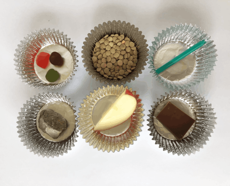 探索冷热变化活动第一步的图片。