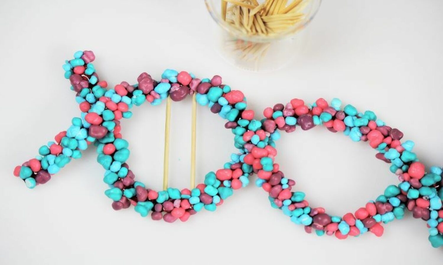 Science Party Candy Rope Double Helix Recipes PBS KIDS for Parents