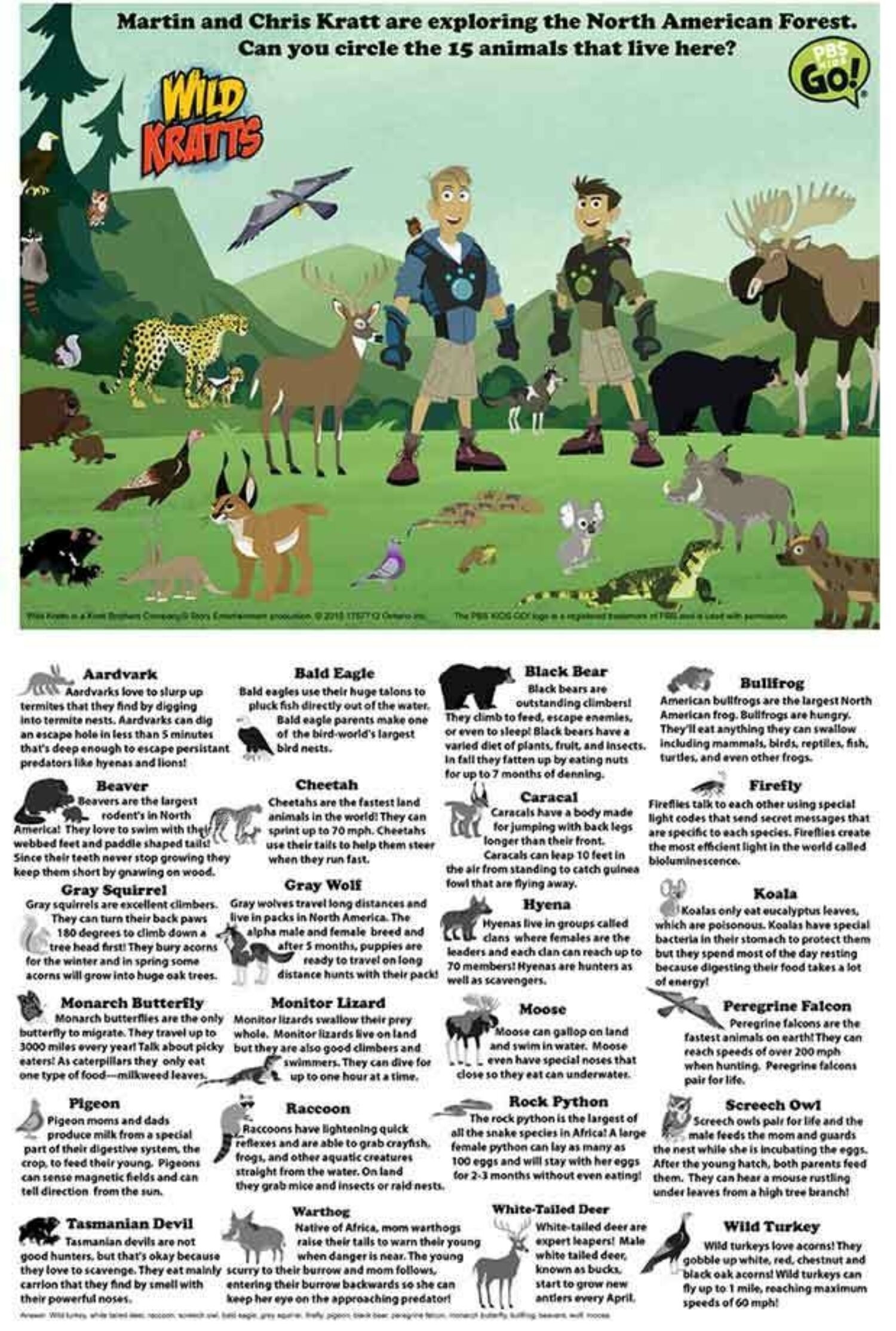 North American Forest Search and Find | Kids… | PBS KIDS for Parents