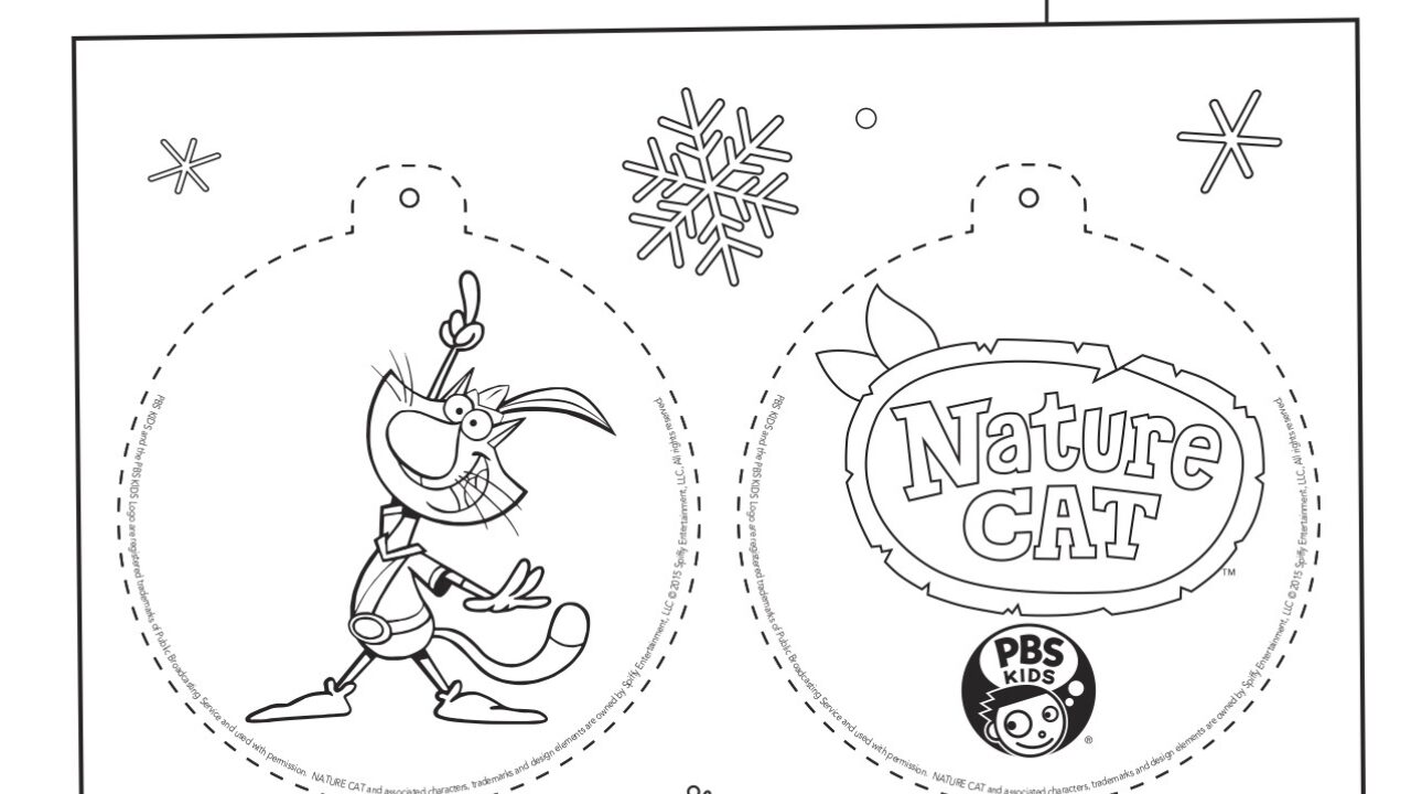 Nature Cat Ornament Crafts for Kids PBS KIDS for Parents