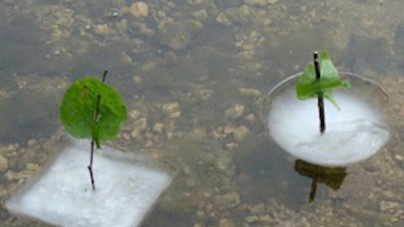 天然冰船的形象特征