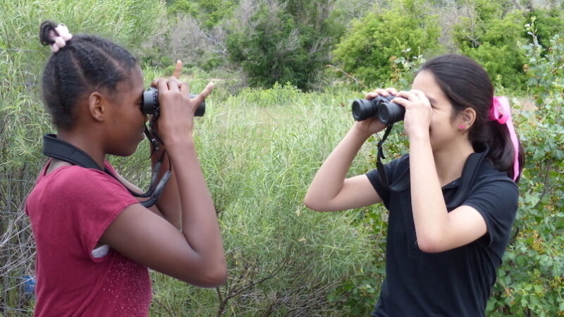 两个女孩通过双筒望远镜看。
