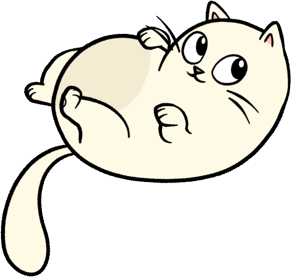 Gatita a white kitty rolls over on her back looking at Rosie. 