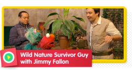 Wild Adventure on Sesame Street